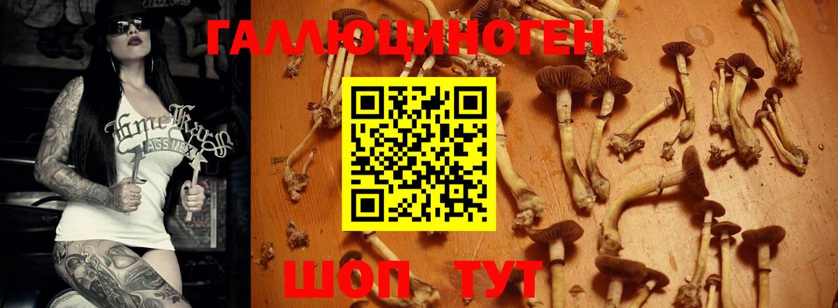 Псилоцибиновые грибы GOLDEN TEACHER  Псилоцибиновые грибы GOLDEN TEACHER  Моздок  Вход с VPN 